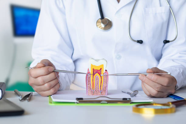 Best Knocked-Out Tooth (Avulsed Tooth) Treatment in Greenville, TX